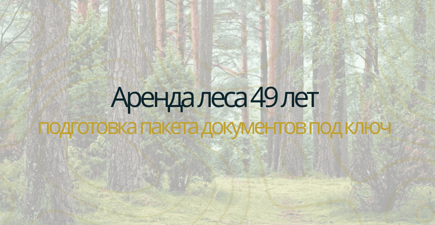 Аренда леса на 49 лет в Санкт-Петербурге