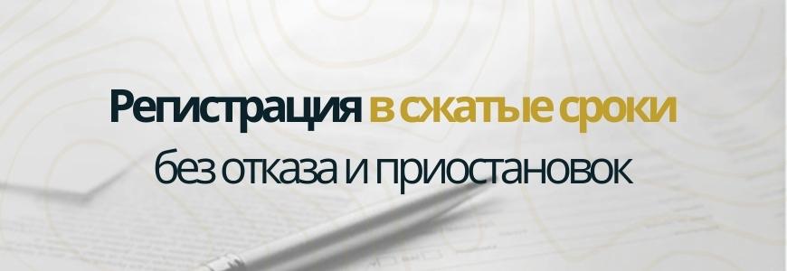 Регистрация в сжатые сроки под ключ в посёлке Белоостров
