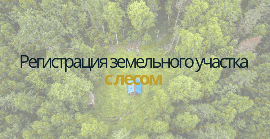 Земельный участок с лесом в Санкт-Петербурге